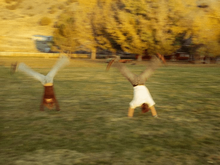 Two people doing cartwheels on the grass in warm evening light